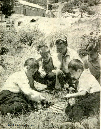 շախմատ ճամբարում 1955 լուսանկարը ս. խոսրոևի